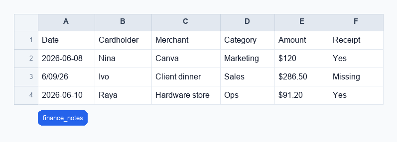 Screenshot of the actual ThinkRows Card charges Excel output for the Manual Entry Workbook Rescue Demo demo.