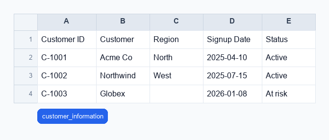 Screenshot of the actual ThinkRows customer_information Excel output for the Spreadsheet Answerability Checker Demo demo.